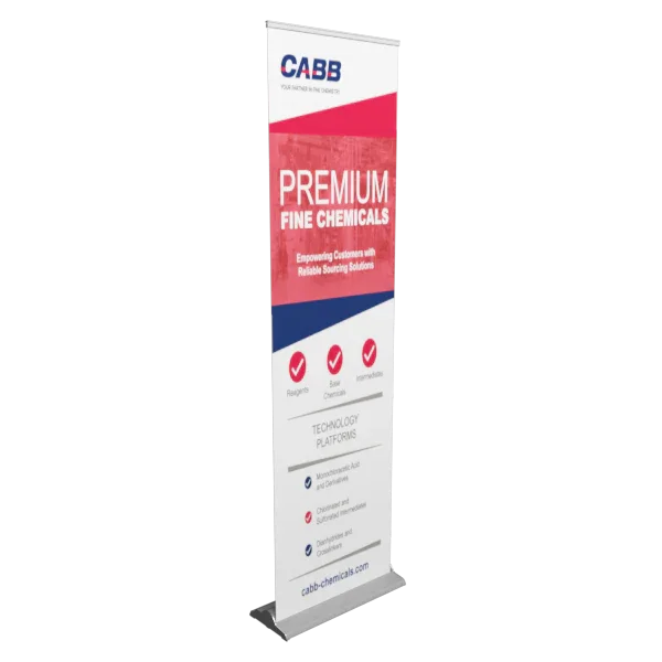 Premium 24 Inch Retractable Banner Stand
